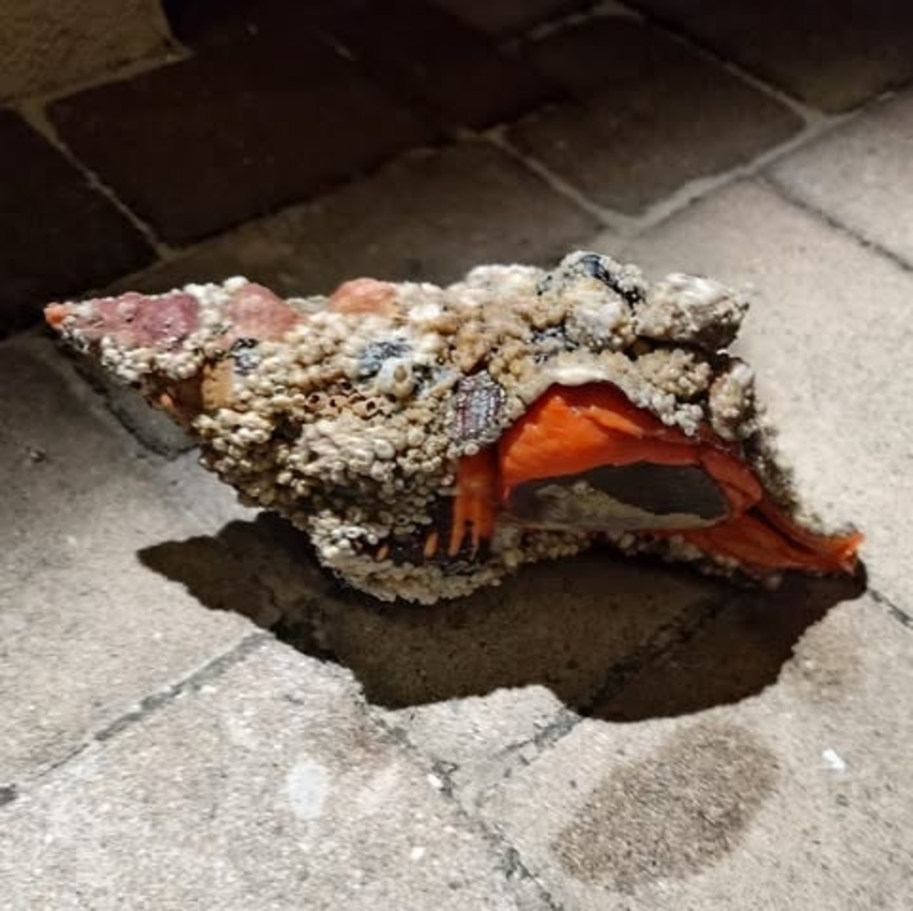 Meet your Posher, Craigbarringer